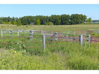 Farmland in Jay County, Indiana - REAL ESTATE AUCTION - 447+/- ACRES OFFERED IN 12 TRACTS & COMBINATIONS IN JAY COUNTY, INDIANA