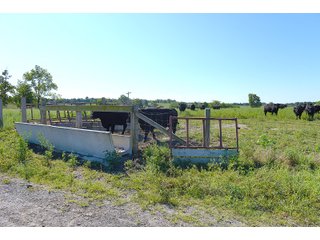 Barn in Jay County, Indiana - REAL ESTATE AUCTION - 447+/- ACRES OFFERED IN 12 TRACTS & COMBINATIONS IN JAY COUNTY, INDIANA
