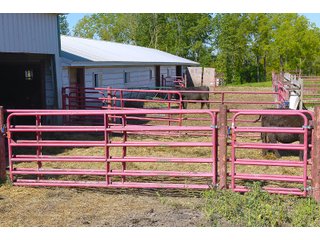 Barn in Jay County, Indiana - REAL ESTATE AUCTION - 447+/- ACRES OFFERED IN 12 TRACTS & COMBINATIONS IN JAY COUNTY, INDIANA