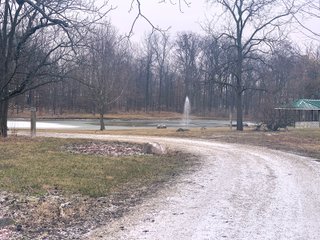 Fountain in Jay County, Indiana - REAL ESTATE AUCTION - 447+/- ACRES OFFERED IN 12 TRACTS & COMBINATIONS IN JAY COUNTY, INDIANA