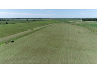 Farmland in Jay County, Indiana - REAL ESTATE AUCTION - 447+/- ACRES OFFERED IN 12 TRACTS & COMBINATIONS IN JAY COUNTY, INDIANA