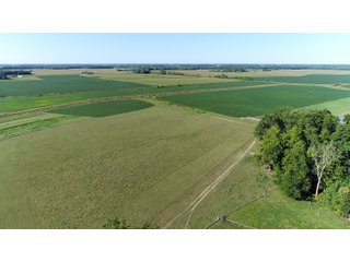 Farmland in Jay County, Indiana - REAL ESTATE AUCTION - 447+/- ACRES OFFERED IN 12 TRACTS & COMBINATIONS IN JAY COUNTY, INDIANA