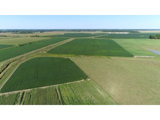 Farmland in Jay County, Indiana - REAL ESTATE AUCTION - 447+/- ACRES OFFERED IN 12 TRACTS & COMBINATIONS IN JAY COUNTY, INDIANA