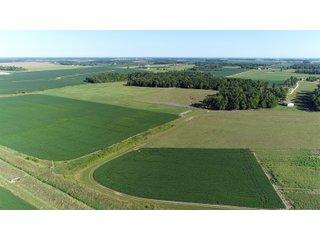 Farmland in Jay County, Indiana - REAL ESTATE AUCTION - 447+/- ACRES OFFERED IN 12 TRACTS & COMBINATIONS IN JAY COUNTY, INDIANA