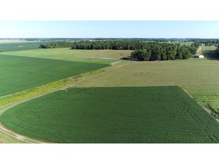 Farmland in Jay County, Indiana - REAL ESTATE AUCTION - 447+/- ACRES OFFERED IN 12 TRACTS & COMBINATIONS IN JAY COUNTY, INDIANA