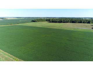 Tracts 4 & 5 in Jay County, Indiana Farmland - REAL ESTATE AUCTION - 447+/- ACRES OFFERED IN 12 TRACTS & COMBINATIONS IN JAY COUNTY, INDIANA