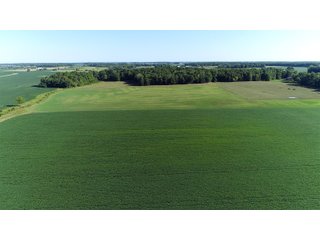 Tracts 4 & 5 in Jay County, Indiana Farmland - REAL ESTATE AUCTION - 447+/- ACRES OFFERED IN 12 TRACTS & COMBINATIONS IN JAY COUNTY, INDIANA