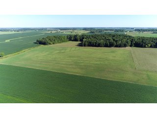 Farmland in Jay County, Indiana - REAL ESTATE AUCTION - 447+/- ACRES OFFERED IN 12 TRACTS & COMBINATIONS IN JAY COUNTY, INDIANA