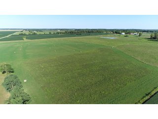 Tracts 7 & 8 in Jay County, Indiana Farmland - REAL ESTATE AUCTION - 447+/- ACRES OFFERED IN 12 TRACTS & COMBINATIONS IN JAY COUNTY, INDIANA