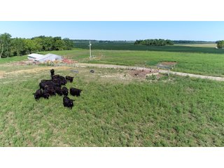 Farmland in Jay County, Indiana - REAL ESTATE AUCTION - 447+/- ACRES OFFERED IN 12 TRACTS & COMBINATIONS IN JAY COUNTY, INDIANA