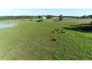 Farmland in Jay County, Indiana - REAL ESTATE AUCTION - 447+/- ACRES OFFERED IN 12 TRACTS & COMBINATIONS IN JAY COUNTY, INDIANA