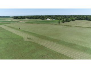 Farmland in Jay County, Indiana - REAL ESTATE AUCTION - 447+/- ACRES OFFERED IN 12 TRACTS & COMBINATIONS IN JAY COUNTY, INDIANA