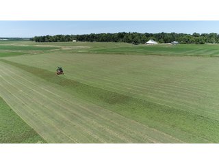 Farmland in Jay County, Indiana - REAL ESTATE AUCTION - 447+/- ACRES OFFERED IN 12 TRACTS & COMBINATIONS IN JAY COUNTY, INDIANA