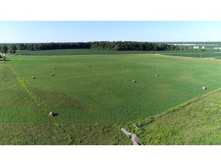 Farmland in Jay County, Indiana - REAL ESTATE AUCTION - 447+/- ACRES OFFERED IN 12 TRACTS & COMBINATIONS IN JAY COUNTY, INDIANA
