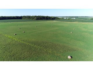 Farmland in Jay County, Indiana - REAL ESTATE AUCTION - 447+/- ACRES OFFERED IN 12 TRACTS & COMBINATIONS IN JAY COUNTY, INDIANA