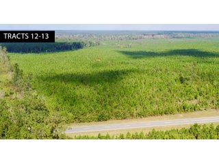 Tracts 12-13 in Coffee County, Georgia - LAND AUCTION - 3,094+/- ACRES OFFERED IN 22 TRACTS IN COFFEE COUNTY, GEORGIA