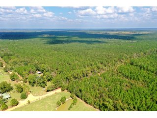 Coffee County, Georgia Land - LAND AUCTION - 3,094+/- ACRES OFFERED IN 22 TRACTS IN COFFEE COUNTY, GEORGIA