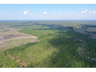 Coffee County, Georgia Land - LAND AUCTION - 3,094+/- ACRES OFFERED IN 22 TRACTS IN COFFEE COUNTY, GEORGIA