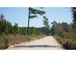 Tracts 1-3 in Coffee County, Georgia - LAND AUCTION - 3,094+/- ACRES OFFERED IN 22 TRACTS IN COFFEE COUNTY, GEORGIA