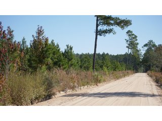Tracts 1-3 in Coffee County, Georgia - LAND AUCTION - 3,094+/- ACRES OFFERED IN 22 TRACTS IN COFFEE COUNTY, GEORGIA