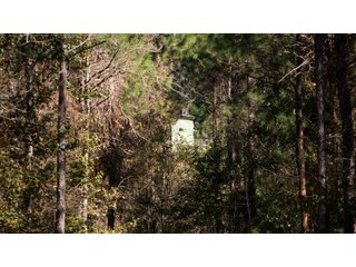 Tract 16 in Coffee County, Georgia - LAND AUCTION - 3,094+/- ACRES OFFERED IN 22 TRACTS IN COFFEE COUNTY, GEORGIA