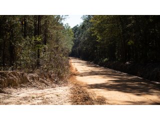 Tract 15 in Coffee County, Georgia - LAND AUCTION - 3,094+/- ACRES OFFERED IN 22 TRACTS IN COFFEE COUNTY, GEORGIA