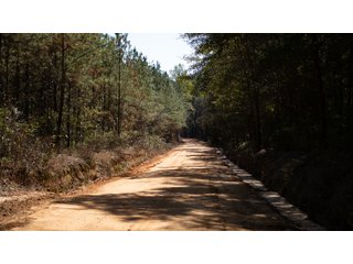 Tract 15 in Coffee County, Georgia - LAND AUCTION - 3,094+/- ACRES OFFERED IN 22 TRACTS IN COFFEE COUNTY, GEORGIA