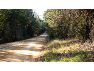 Tract 4 in Coffee County, Georgia - LAND AUCTION - 3,094+/- ACRES OFFERED IN 22 TRACTS IN COFFEE COUNTY, GEORGIA