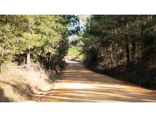 Tract 4 in Coffee County, Georgia - LAND AUCTION - 3,094+/- ACRES OFFERED IN 22 TRACTS IN COFFEE COUNTY, GEORGIA