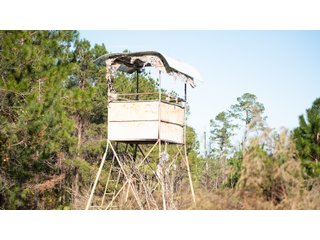Tract 4 in Coffee County, Georgia - LAND AUCTION - 3,094+/- ACRES OFFERED IN 22 TRACTS IN COFFEE COUNTY, GEORGIA