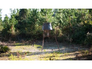 Tract 4 in Coffee County, Georgia - LAND AUCTION - 3,094+/- ACRES OFFERED IN 22 TRACTS IN COFFEE COUNTY, GEORGIA
