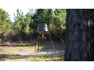 Tract 4 in Coffee County, Georgia - LAND AUCTION - 3,094+/- ACRES OFFERED IN 22 TRACTS IN COFFEE COUNTY, GEORGIA