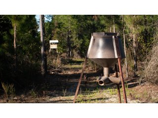 Tract 4 in Coffee County, Georgia - LAND AUCTION - 3,094+/- ACRES OFFERED IN 22 TRACTS IN COFFEE COUNTY, GEORGIA
