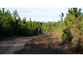 Tract 12 in Coffee County, Georgia - LAND AUCTION - 3,094+/- ACRES OFFERED IN 22 TRACTS IN COFFEE COUNTY, GEORGIA