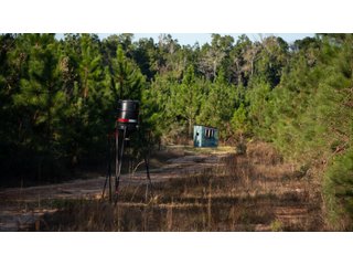 Tract 12 in Coffee County, Georgia - LAND AUCTION - 3,094+/- ACRES OFFERED IN 22 TRACTS IN COFFEE COUNTY, GEORGIA