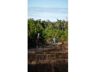 Tract 12 in Coffee County, Georgia - LAND AUCTION - 3,094+/- ACRES OFFERED IN 22 TRACTS IN COFFEE COUNTY, GEORGIA