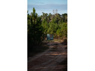Tract 12 in Coffee County, Georgia - LAND AUCTION - 3,094+/- ACRES OFFERED IN 22 TRACTS IN COFFEE COUNTY, GEORGIA