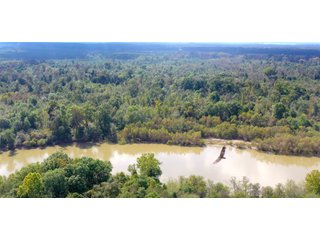 Coffee County, Georgia Land - LAND AUCTION - 3,094+/- ACRES OFFERED IN 22 TRACTS IN COFFEE COUNTY, GEORGIA