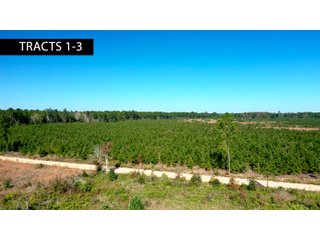 Tracts 1 - 3 in Coffee County, Georgia - LAND AUCTION - 3,094+/- ACRES OFFERED IN 22 TRACTS IN COFFEE COUNTY, GEORGIA