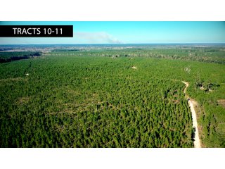 Tracts 10-11 in Coffee County, Georgia - LAND AUCTION - 3,094+/- ACRES OFFERED IN 22 TRACTS IN COFFEE COUNTY, GEORGIA