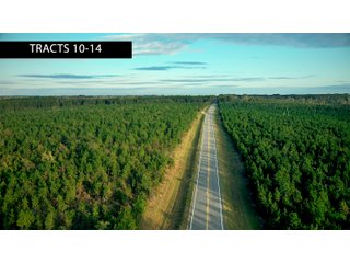 Tracts 10-14 in Coffee County, Georgia - LAND AUCTION - 3,094+/- ACRES OFFERED IN 22 TRACTS IN COFFEE COUNTY, GEORGIA