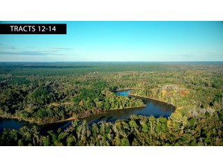 Tracts 12-14 in Coffee County, Georgia - LAND AUCTION - 3,094+/- ACRES OFFERED IN 22 TRACTS IN COFFEE COUNTY, GEORGIA
