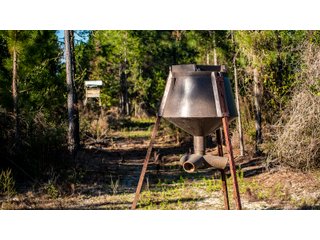 Tract 5 in Coffee County, Georgia - LAND AUCTION - 3,094+/- ACRES OFFERED IN 22 TRACTS IN COFFEE COUNTY, GEORGIA