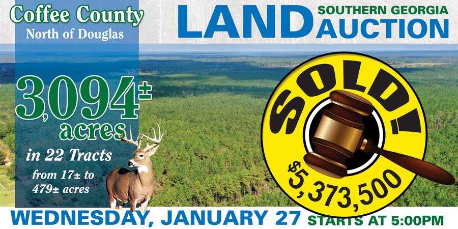 Auction Slider