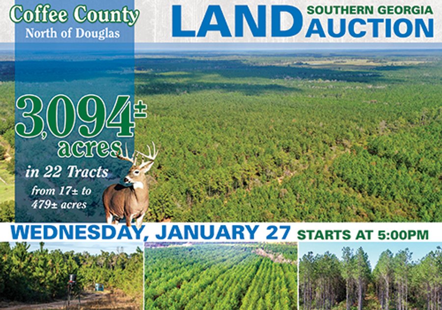 LAND AUCTION - 3,094+/- ACRES OFFERED IN 22 TRACTS IN COFFEE COUNTY, GEORGIA