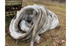 Property photo 81 - TIMED ONLINE ONLY - SMALL FARM EQUIP - LIVESTOCK EQUIP - MISC. TOOLS & PARTS AUCTION