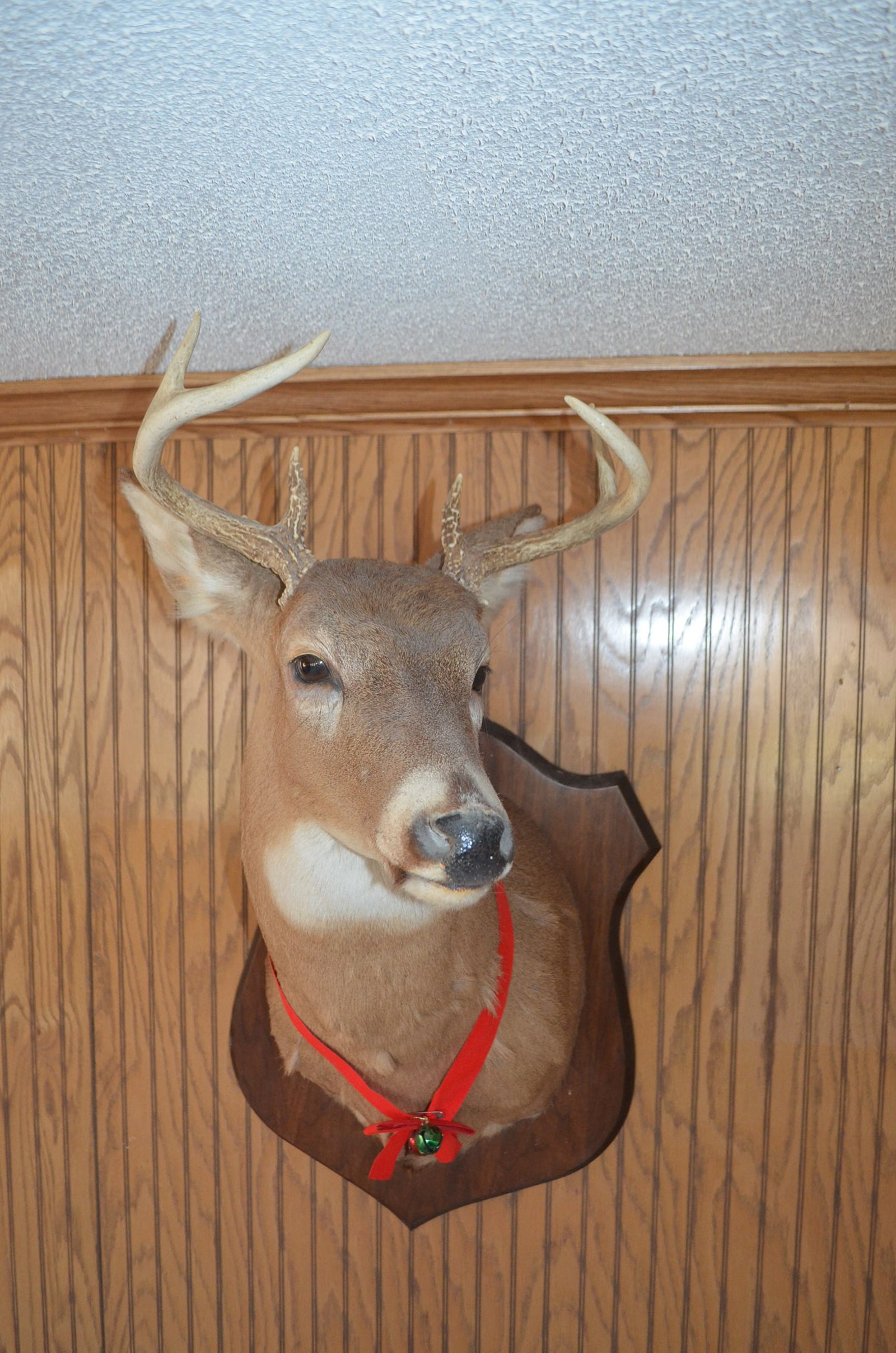 Property photo 96 - PERSONAL PROPERTY AUCTION IN NORTHEAST ALLEN COUNTY, INDIANA