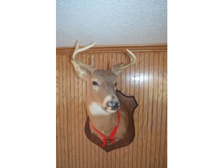 Property photo 96 - PERSONAL PROPERTY AUCTION IN NORTHEAST ALLEN COUNTY, INDIANA