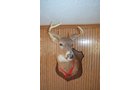 Property photo 96 - PERSONAL PROPERTY AUCTION IN NORTHEAST ALLEN COUNTY, INDIANA