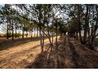 Tract 1 in Weld County, Colorado - VIRTUAL COLORADO LAND AUCTION - 1,120+/- ACRES OFFERED IN 9 TRACTS IN WELD COUNTY, COLORADO
